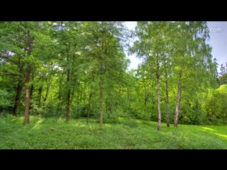 One year in 40 seconds [720p]