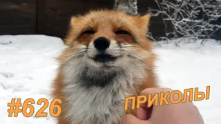 Приколы декабрь 2019 №626