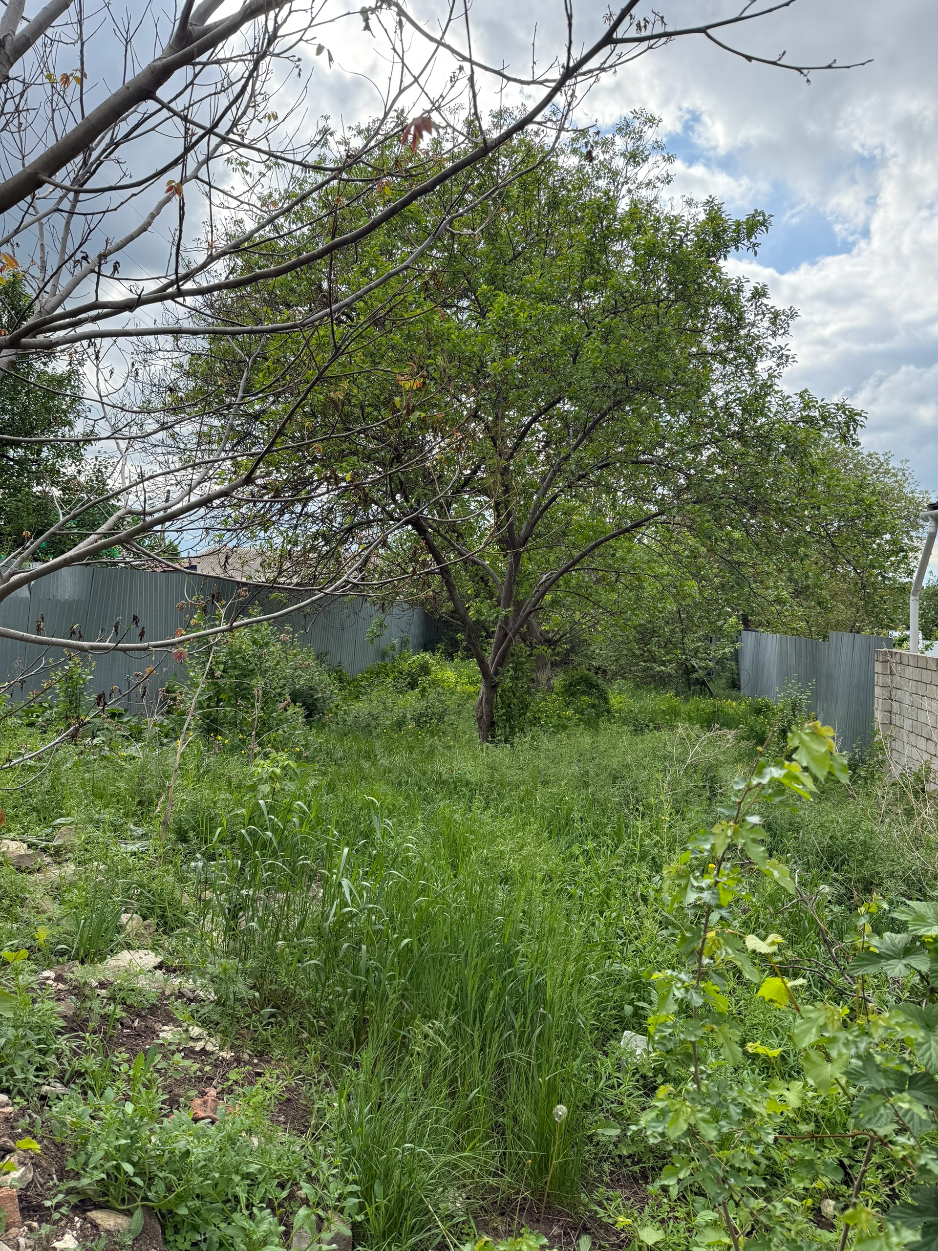 Продам дом на Буревестнике, по ул. Декабристов 2х этажный, на первом этаже зал, санузел и кухня, на втором этаже 2 спальни и санузел. Земли 4 сотки приват. . Долгов нет. Телефон +79591231525 ...